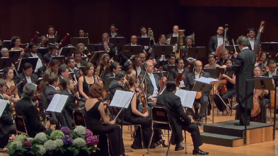 Imagen de Mahler - Symphony No. 10 (Mineria) - 2