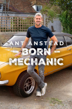 Imagen de Ant Anstead: Born Mechanic (T2) - 1
