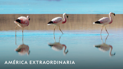 Imagen de América extraordinaria  - 2