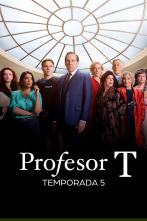 Imagen de Profesor T (T5) - 1