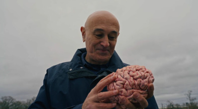 Imagen de Secretos del cerebro: Ep.1 - 1