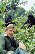 Imagen de La vida en la Tierra con David Attenborough - 3