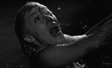 Imagen de Dementia 13 - 13