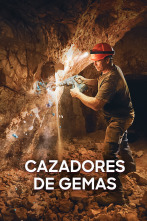 Imagen de Cazadores de gemas (T8) - 1