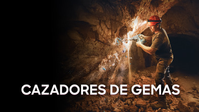 Imagen de Cazadores de gemas (T8) - 2