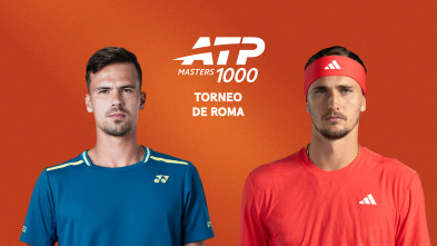 Imagen de Segunda Ronda: Altmaier - Zverev - 2