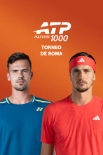 Imagen de Segunda Ronda: Altmaier - Zverev - 1