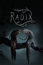 Imagen de Radix - 1
