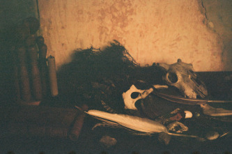 Imagen de Cumbres borrascosas - 11
