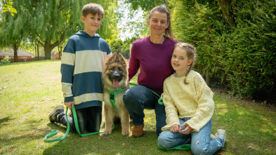 Imagen de The Dog House (T7): Ep.7 - 2