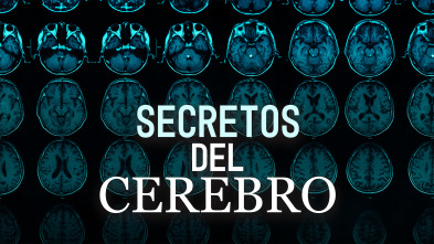 Imagen de Secretos del cerebro  - 2