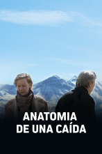 Imagen de Anatomía de una caída - 1