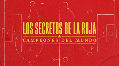 Imagen de Los secretos de La Roja - Campeones del mundo - 2