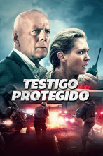 Imagen de Testigo protegido - 1