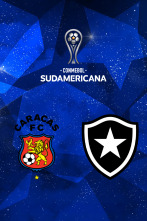 Imagen de Fase de grupos: Caracas - Botafogo - 1