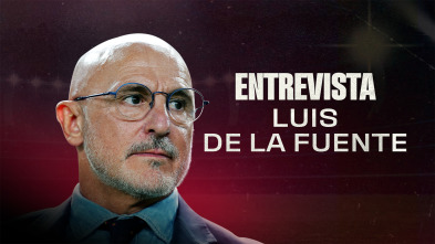 Imagen de Entrevista a Luis de la Fuente - 2