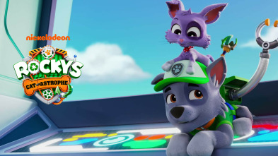 Imagen de Rocky y la catástrofe gatuna - 2