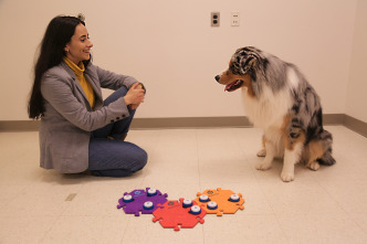 Imagen de ¿Qué dicen los perros? - 9