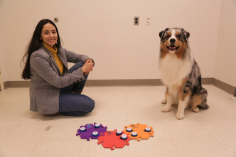 Imagen de ¿Qué dicen los perros? - 10