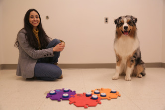 Imagen de ¿Qué dicen los perros? - 12