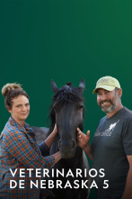 Imagen de Veterinarios de Nebraska (T5) - 1