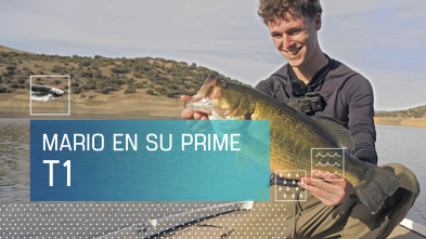 Imagen de Mario en su prime (T1) - 2