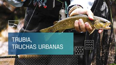 Imagen de Trubia, truchas urbanas - 2