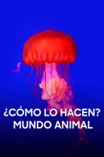 Imagen de ¿Cómo lo hacen? Mundo animal  - 1