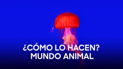 Imagen de ¿Cómo lo hacen? Mundo animal  - 2