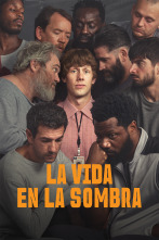 Imagen de La vida en la sombra (T1) - 1