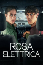 Imagen de Rosa Elettrica (T1) - 1