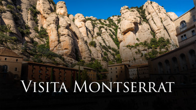 Imagen de Visita Papa a España (T1): Visita Montserrat - 2