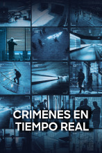 Imagen de Crímenes en tiempo real: Dónde está Alissa - 1