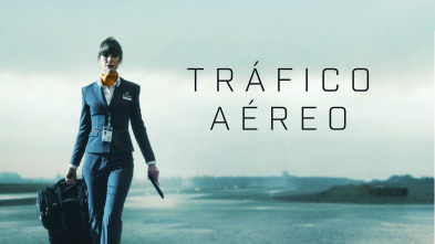 Imagen de Tráfico aéreo (T1) - 2
