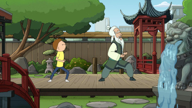 Imagen de Rick y Morty (T9): Ep.3 Rick-fu-sion - 2