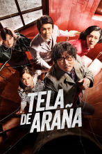 Imagen de Tela de araña - 1
