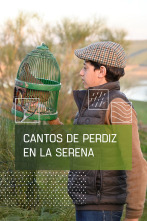 Imagen de Cantos de perdiz en La Serena - 1