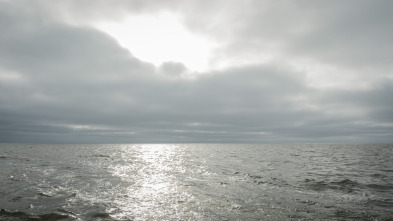 Imagen de La isla de Amrum - 4