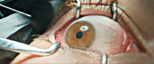 Imagen de The Home - 7