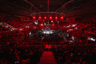 Imagen de El año WOW 2025 - 5
