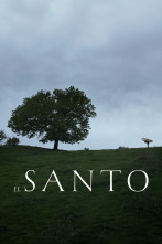 Imagen de El Santo - 1