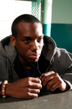 Imagen de Law & Order (T20): Ep.14 Niño en llamas - 1
