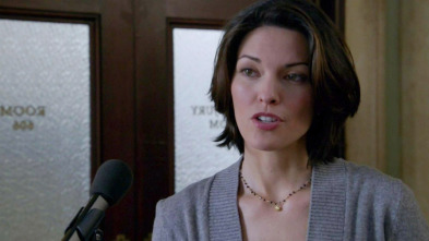 Imagen de Law & Order (T20): Ep.10 Escopeta - 2