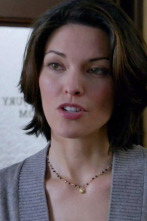 Imagen de Law & Order (T20): Ep.10 Escopeta - 1