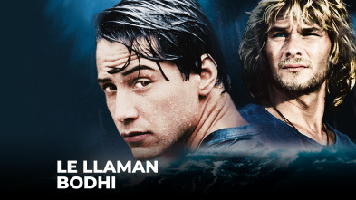 Imagen de Le llaman Bodhi - 2
