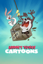 Imagen de Looney Tunes Cartoons (T4) - 1