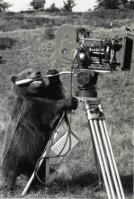 Imagen de El oso - 5