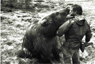Imagen de El oso - 7