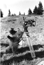 Imagen de El oso - 8