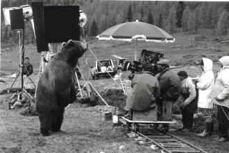Imagen de El oso - 11